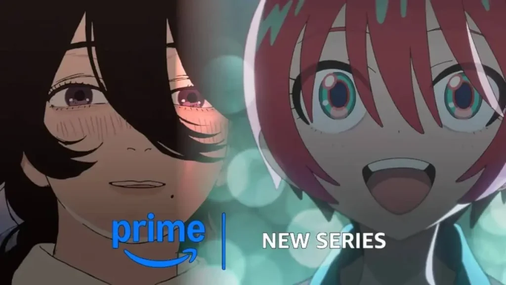 Plateformes payantes pour animés