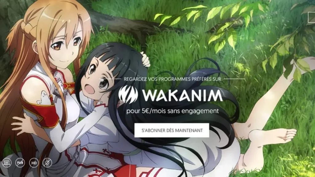 Plateformes payantes pour animés